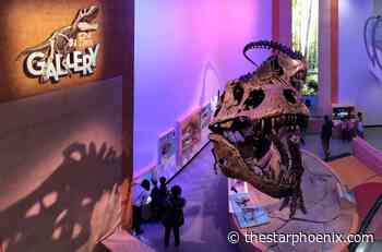 Here's how to keep the summer doldrums at bay