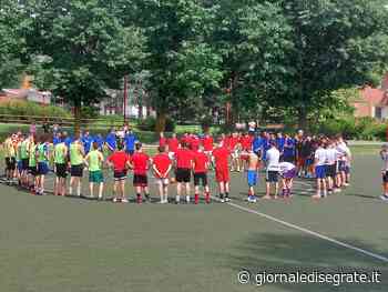 TeoTorneo, otto squadre in campo per ricordare Matteo Riganti - Giornale di Segrate