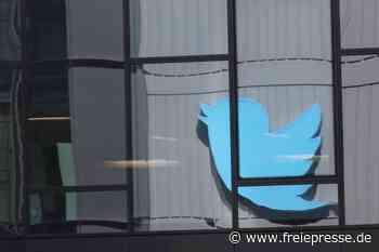 Übernahme durch Musk kein Thema bei Twitter-Hauptversammlung - freiepresse.de