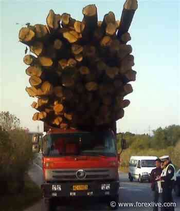 China coronavirus - Real-time trucking data in China no longer publicly available - ForexLive