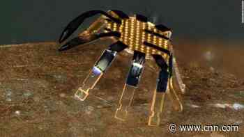 Tiny robotic crabs that are smaller than the width of a coin use heat from lasers to crawl