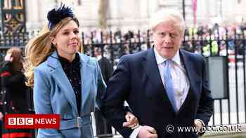 Sue Gray halted inquiry into party at Boris Johnson's flat
