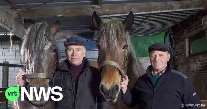 Hubert uit Dendermonde heeft recordaantal van 100 paarden gescout voor Ros Beiaardommegang - VRT NWS