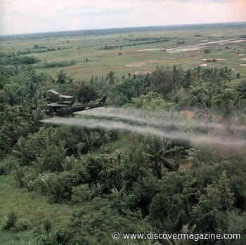 Agent Orange: A Potent Herbicide with Damaging Health Effects