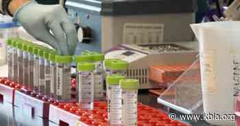 Scientists take to the sewers to track down worrisome coronavirus variants - KBIA