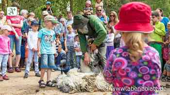 Himmelfahrt:Wikinger im Alten Land und Schafscherer in der Heide - Hamburger Abendblatt