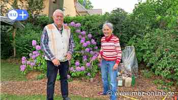 Rangsdorf: Die Müll-Sammlerin Heide Wolffgramm (80) macht Beute - Märkische Allgemeine Zeitung