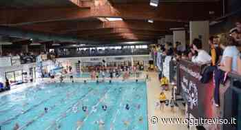 Preganziol, alle piscine Stilelibero domenica va in scena il 6° Trofeo Smail - Oggi Treviso