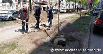 Neue Bäume gepflanzt: Frischer Wind für belastete Wohnquartiere in Aachen - Aachener Zeitung