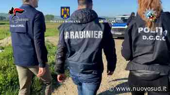 Circonvenzione di incapaci ed estorsioni, la Procura di Locri ordina 16 arresti - Nuovo Sud