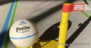 Männer des TV Rieschweiler schießen bei DM Internet ab - Prellball - Rheinpfalz.de