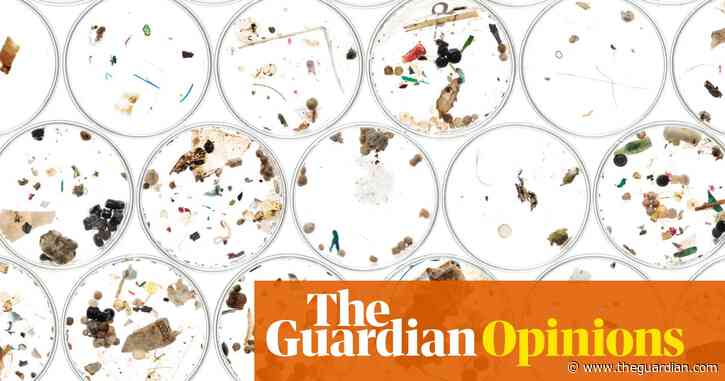 Microplastics in sewage: a toxic combination that is poisoning our land | George Monbiot