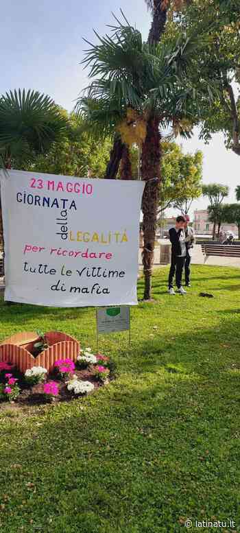 FORMIA: UN ALBERO IN MEMORIA DI GIOVANNI FALCONE - Latina Tu
