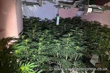 £1 million cannabis farm uncovered by Wakefield police - Wakefield Express
