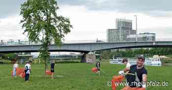 Umweltaktivisten wollen Bienen retten - Mannheim - DIE RHEINPFALZ - Rheinpfalz.de