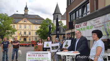 Mahnwache in Kirn: Bürgerinitiative will Entscheid zum Dhauner Wald vorbeugend beantragen - Rhein-Zeitung