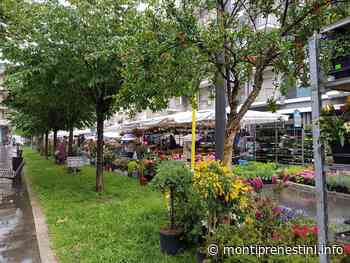 Weekend di eventi a Colleferro: si parte con la "Fiera delle piante e dei fiori" - Monti Prenestini