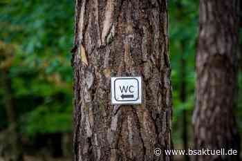 Aichach: Auf dem Weg zum „großen Geschäft“ betrunken mit Pkw Unfall verursacht - BSAktuell