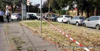 Tragedia all'alba a Porta Vescovo: ragazza 29enne investita e uccisa sul marciapiede - TG Verona