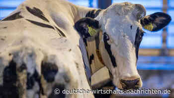 Kein "Mist" aus Russland: Bauern schlagen Alarm