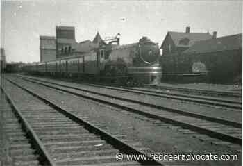 DAWE: The Whale Show comes to Red Deer - Red Deer Advocate