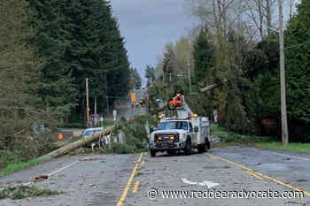 Weather alerts issued for Stettler, Ponoka, Red Deer - Red Deer Advocate