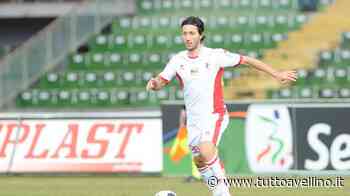 De Falco: "Taurino è un mister che vive la partita a cento all'ora. E' molto focoso e trascina... - TuttoAvellino.it