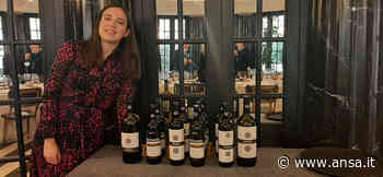 Nuova cantina per Pio Cesare, resta in centro ad Alba - Terra & Gusto - Agenzia ANSA