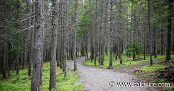 Two Cape Breton trail associations receive provincial funding for upgrades - SaltWire Halifax powered by The Chronicle Herald