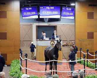 $3.55 million Bernardini colt breaks Fasig-Tipton Midlantic 2-year-olds in training sale record - Daily Racing Form