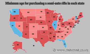 Texas is one of 44 US states where 18-year-olds can legally buy a rifle - Daily Mail