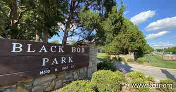 After Olathe murder, Johnson County prosecutor wants to try 14-year-olds as adults - KCUR