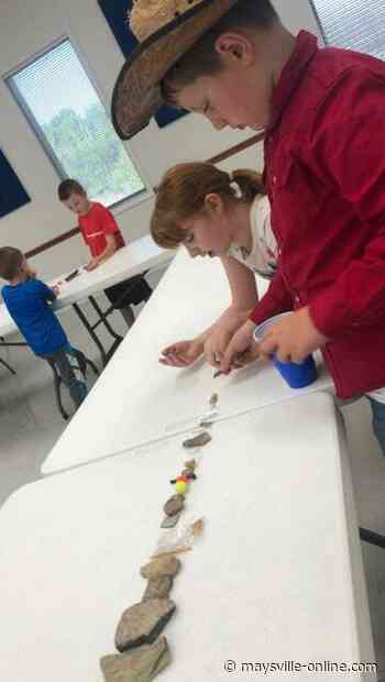 4H targets 5 to 7 year-olds with various experiences - Ledger Independent