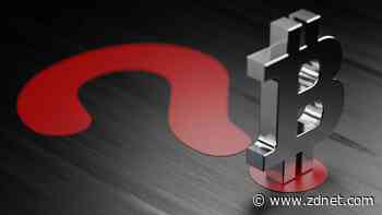 Don't expect to make money on Bitcoin or any other crypto this year