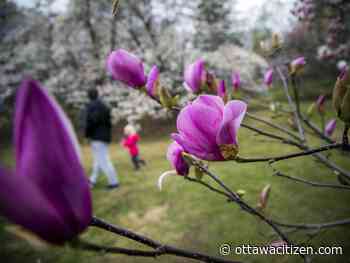 Weather: Likely showers, humid Thursday plus risk of T-storms Friday