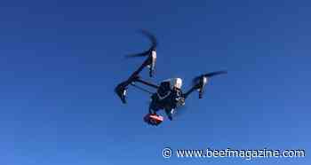 Eye in the sky: Drones help manage the herd