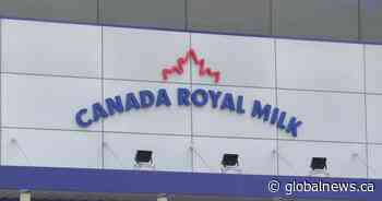 Ontario plant looking to sell baby formula in Canada. But will this help with the shortage?