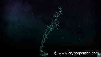 Looking For Cryptos With Potential? - Quitriam Finance (QTM), TRON (TRX) and NEAR Protocol (NEAR) - Cryptopolitan