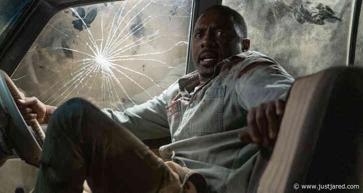 Idris Elba Runs From Killer Lion in First 'Beast' Trailer - Watch Now!