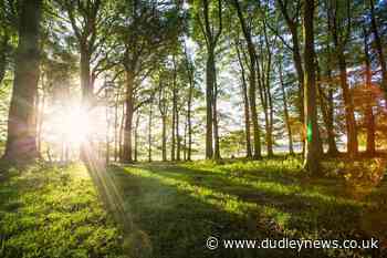 Thousands of newly-planted trees dedicated to Queen for Platinum Jubilee - Dudley News