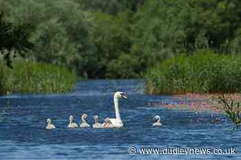 Five landscape-scale nature projects from city edges to wetlands announced - Dudley News