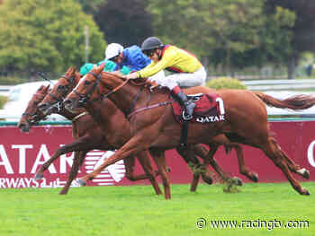 Arc hero Torquator Tasso set for Baden-Baden return - Racing TV