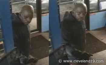 Theft suspect breaks into auto center in Cleveland, police say - Cleveland 19 News