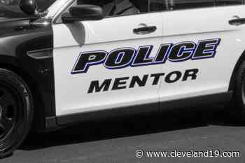 Mentor police arrest man after stand-off - Cleveland 19 News