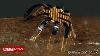 Robot developed that’s smaller than a flea