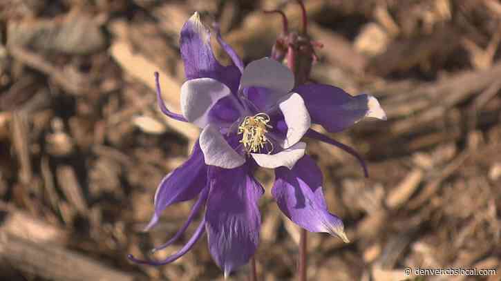 Thinking About Texas And Our Children