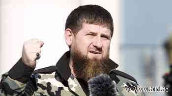 Ukraine-Krieg: Jetzt droht Putins „Bluthund“ Kadyrow Polen - BILD