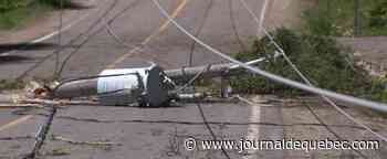 Violente tempête: environ 50 000 foyers toujours sans électricité
