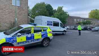 Basingstoke: Four arrested after seriously injured man dies