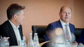 Waffenlieferungen an die Ukraine - Wenn Behauptungen auf Schweigen treffen